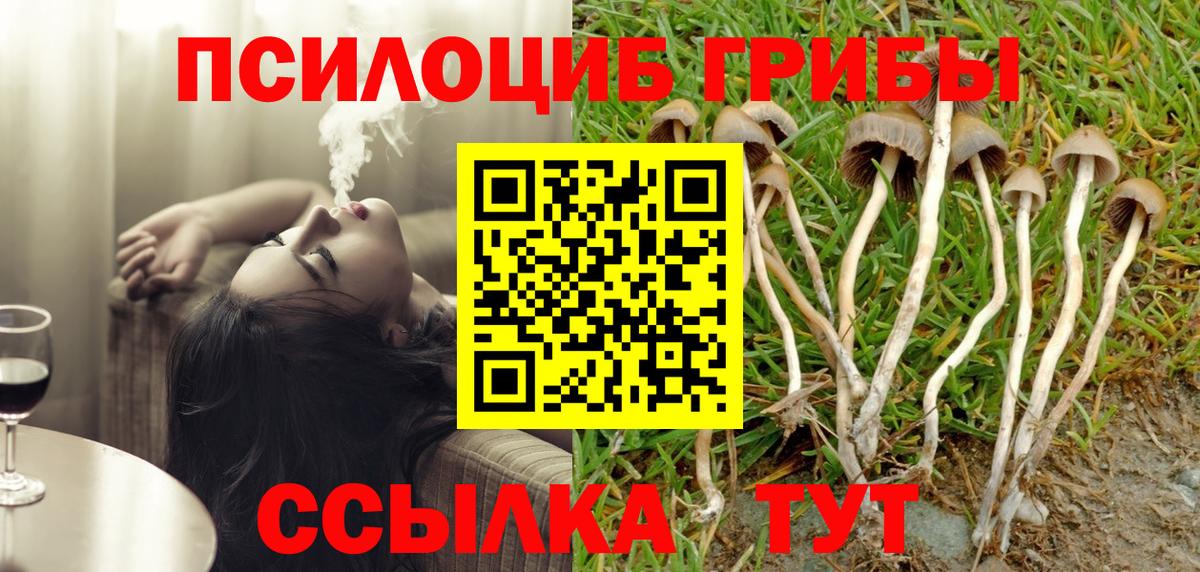 Заинск  Псилоцибиновые грибы Magic Shrooms  Вход с VPN  Галлюциногенные грибы ЛСД 